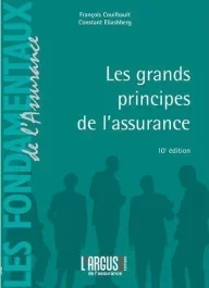 LES GRANDS PRINCIPES DE L&rsquo;ASSURANCE 10EME EDITION