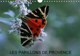 LES PAPILLONS DE PROVENCE CALENDRIER MURAL 2016 DIN A4 HORIZONTAL