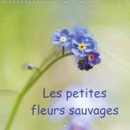 LES PETITES FLEURS SAUVAGES (CALENDRIER MURAL 2019 300 * 300 MM SQUARE) – LA BEAUTE DES FLEURS SAUVA