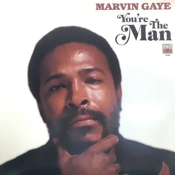 Marvin Gaye – You‘re The Man (2 LP)