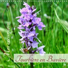 MES EXCURSIONS. TOURBIERE EN BAVIERE. (CALENDRIER MURAL 2019 300 * 300 MM SQUARE) – PLANTES ET ANIMA
