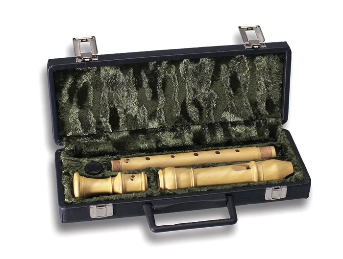 MOLLENHAUER Etui 7102 – Alto