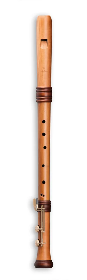 MOLLENHAUER Reve D’adri Ténor 4427 – Poirier Naturel (doigté Baroque)