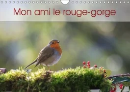 MON AMI LE ROUGE GORGE CALENDRIER MURAL 2018 DIN A4 HORIZONT – UNE ANNEE DE LA VIE DU ROUGE G