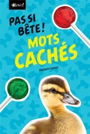 Mots cachés. 120 grilles !