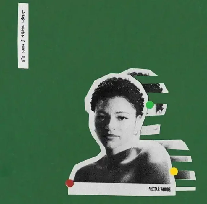 Nectar Woode – It‘s Like I Never Left (LP)