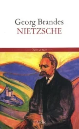 Nietzsche. Essai sur le radicalisme aristocratique