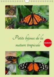 PETITS BIJOUX DE LA NATURE TROPICALE CALENDRIER MURAL 2018 D – TROIS PERSPECTIVES UNIQUES D U