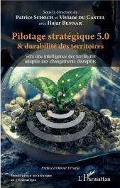 Pilotage stratégique 5.0 et durabilité des territoires. Vers une intelligence des territoires adapté