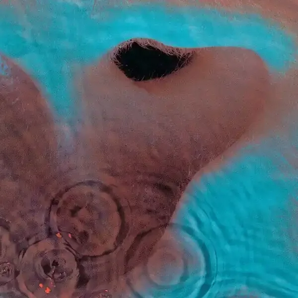 Pink Floyd – Meddle (2011) (CD)