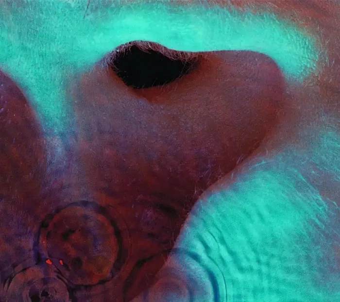 Pink Floyd – Meddle (CD)