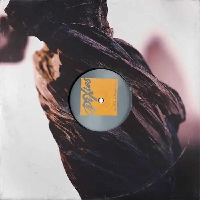 Pixies – The Night the Zombies Came (LP)