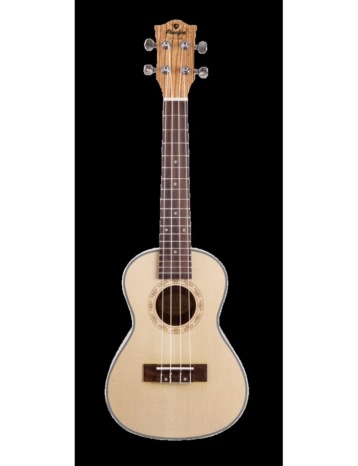Prodipe BC25 ukulele concert