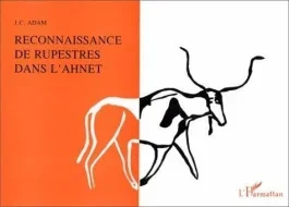 Reconnaissance du rupestre dans l&rsquo;Ahnet
