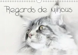 REGARDS DE MINOUS (CALENDRIER MURAL 2019 DIN A4 HORIZONTAL) – SERIE DE 12 PORTRAITS ORIGINAUX REALIS