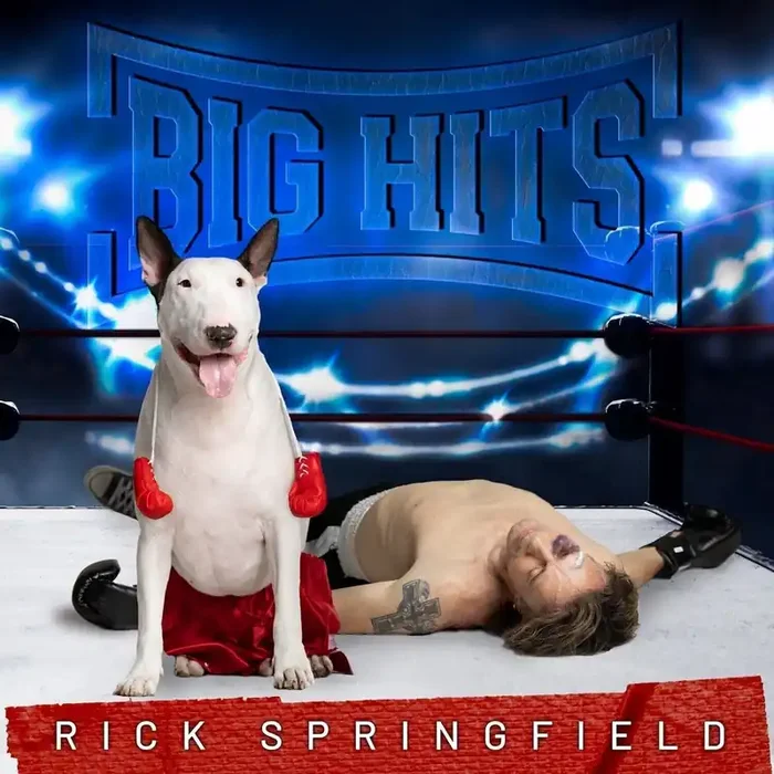 Rick Springfield – Big Hits Rick Springfield‘s Greatest Hits, Vol. 2 (CD)