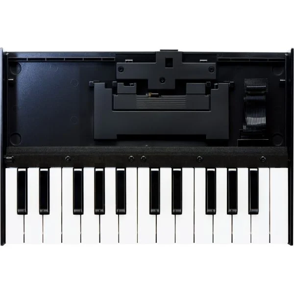 Roland K-25M Boutique