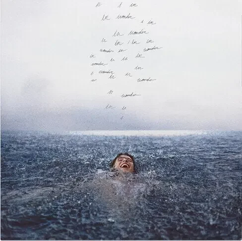 Shawn Mendes – Wonder (LP)