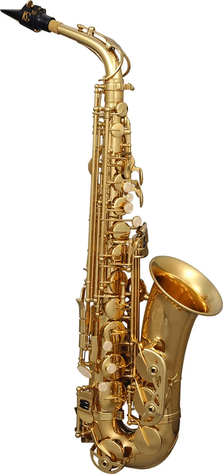 SML Paris A420-II Alto Mib Verni