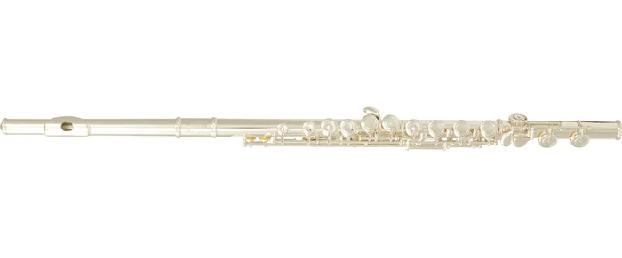 SML Paris Flute Traversiere Debutant FL300E