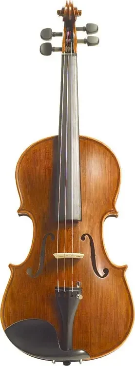 Stentor Elysia 3/4 Violon