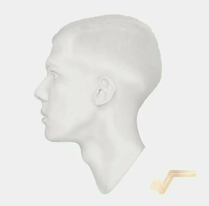 Stromae – Racine Carrée (10th Anniversary) (Reissue) (2 LP)