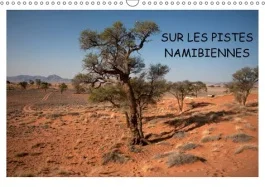 SUR LES PISTES NAMIBIENNES CALENDRIER MURAL 2018 DIN A3 HORI – A LA DECOUVERTE DE LA NAMIBIE