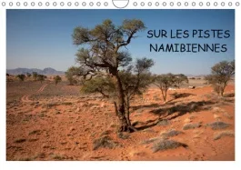 SUR LES PISTES NAMIBIENNES (CALENDRIER MURAL 2019 DIN A4 HORIZONTAL) – A LA DECOUVERTE DE LA NAMIBIE