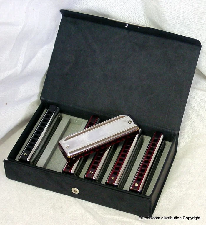 SUZUKI Bluemaster 6 Harmonicas – 10 Trous