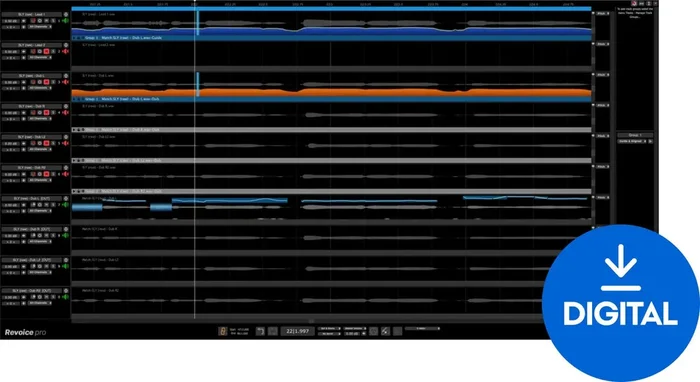 Synchro Arts Revoice Pro 5 (Produit numérique)