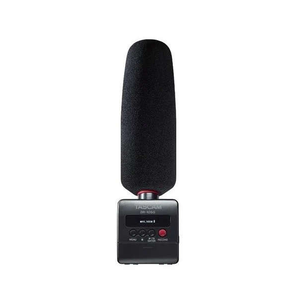 Tascam DR-10SG