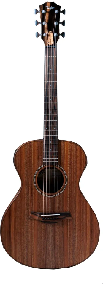 TAYLOR GUITARS Jacob Collier Signature Model JCSM-6