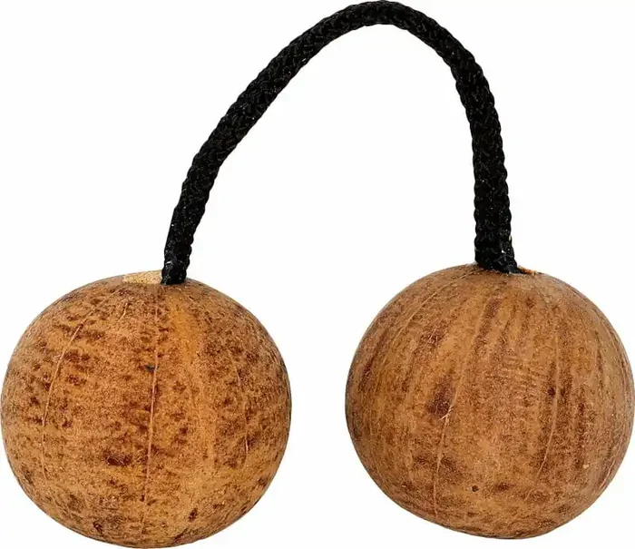 Terre Thelevi S Shaker
