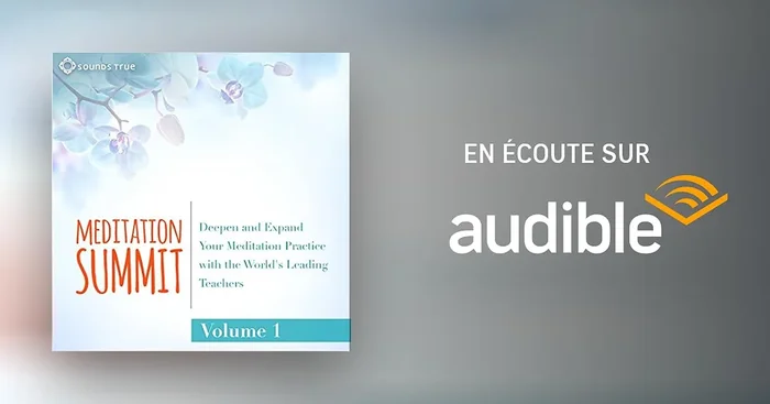The Meditation Summit: Volume 1
