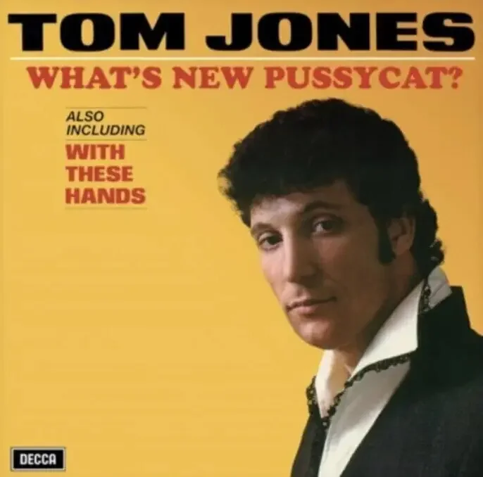 Tom Jones – What‘s New Pussycat (CD)