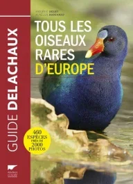 Tous les oiseaux rares d&rsquo;Europe