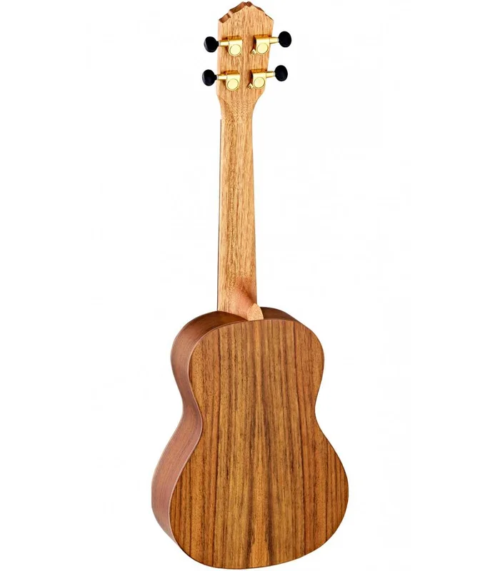 UKULELE CONCERT ORTEGA, CEDRE NOYER – Image 2