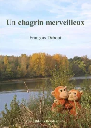 UN CHAGRIN MERVEILLEUX
