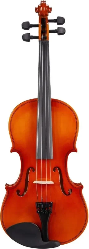 Valencia V100 3/4 Violon