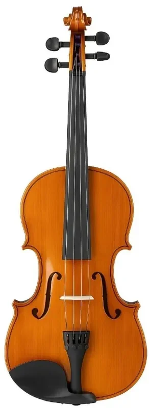 Valencia VA100 15,5&Prime; Alto