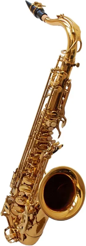 Victory VTS Student Saxophones ténors
