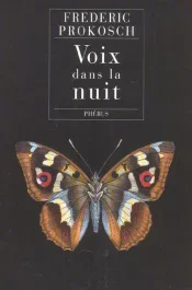 Voix dans la nuit