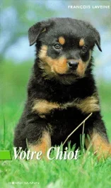 Votre chiot