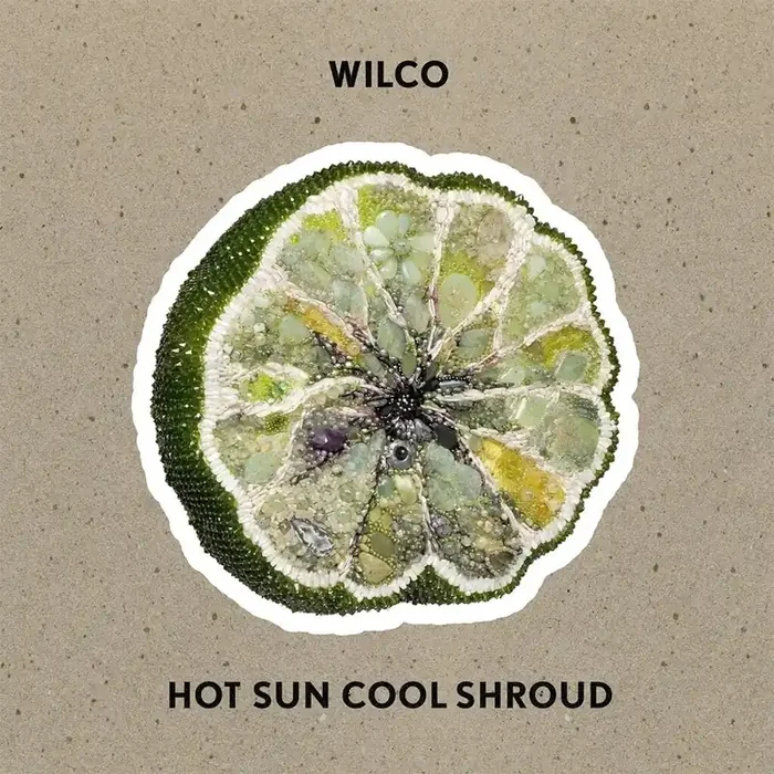 Wilco – Hot Sun Cool Shroud (EP)