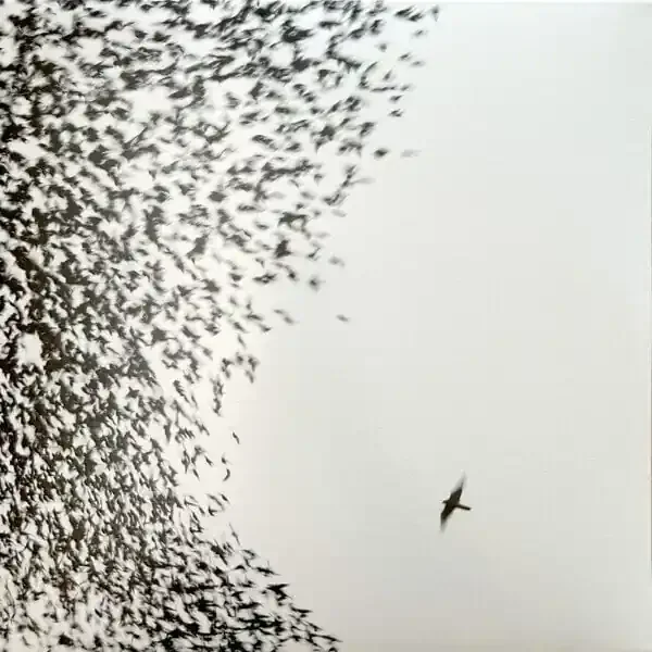 Wilco – Sky Blue Sky (2 LP)