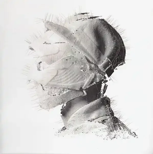 Woodkid – Golden Age (CD)