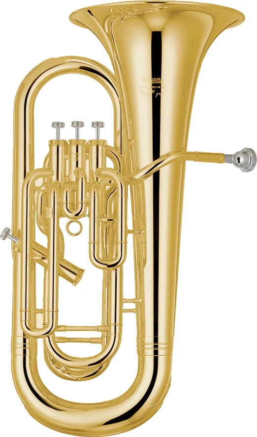 YAMAHA YEP621 Sib Verni