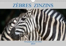 ZEBRES ZINZINS (CALENDRIER MURAL 2019 DIN A4 HORIZONTAL) – PORTRAITS DU ZEBRE DES PLAINES OU DE BURC